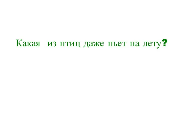 Какая из птиц даже пьет на лету?