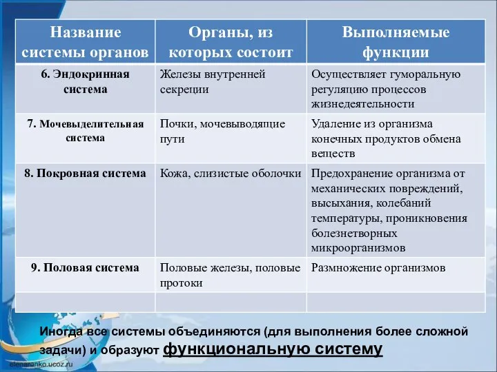 Иногда все системы объединяются (для выполнения более сложной задачи) и образуют функциональную систему