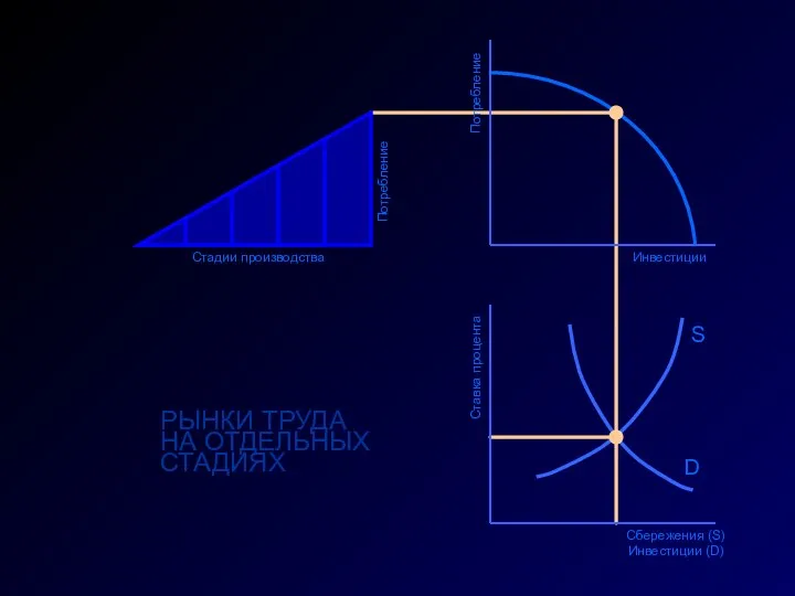РЫНКИ ТРУДА НА ОТДЕЛЬНЫХ СТАДИЯХ S D Инвестиции Потребление Ставка процента