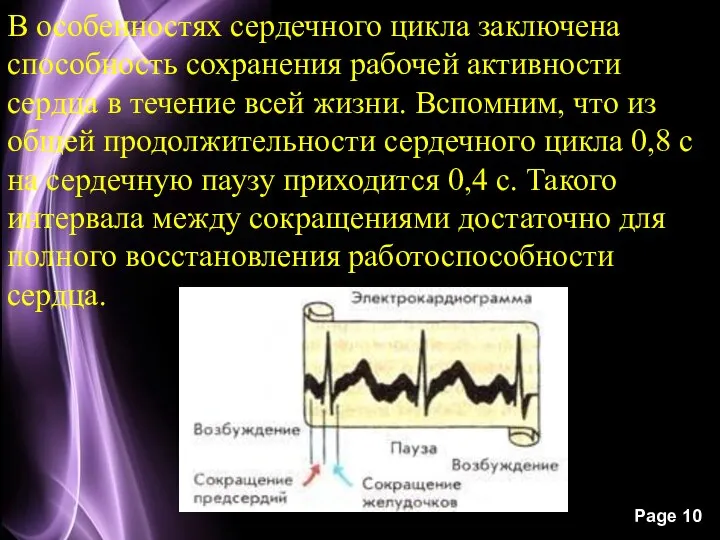 В особенностях сердечного цикла заключена способность сохранения рабочей активности сердца в