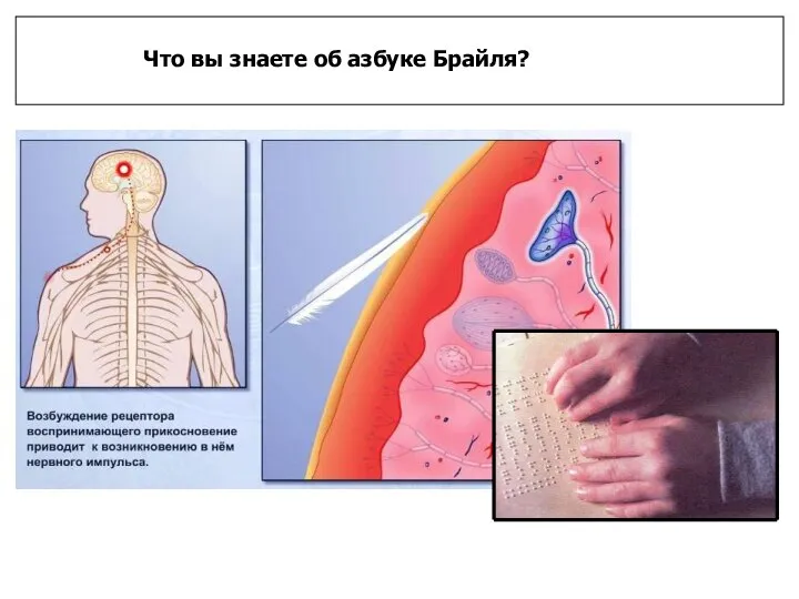 Что вы знаете об азбуке Брайля?