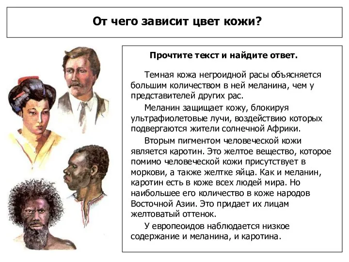 От чего зависит цвет кожи? Прочтите текст и найдите ответ. Темная