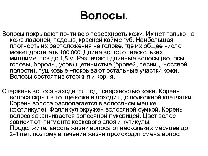 Волосы. Волосы покрывают почти всю поверхность кожи. Их нет только на