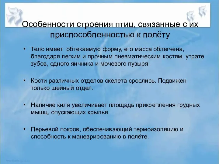 Особенности строения птиц, связанные с их приспособленностью к полёту Тело имеет