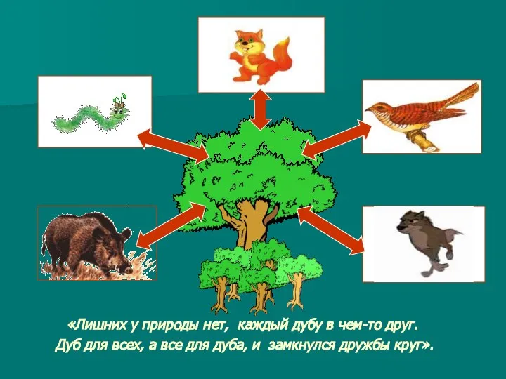 «Лишних у природы нет, каждый дубу в чем-то друг. Дуб для