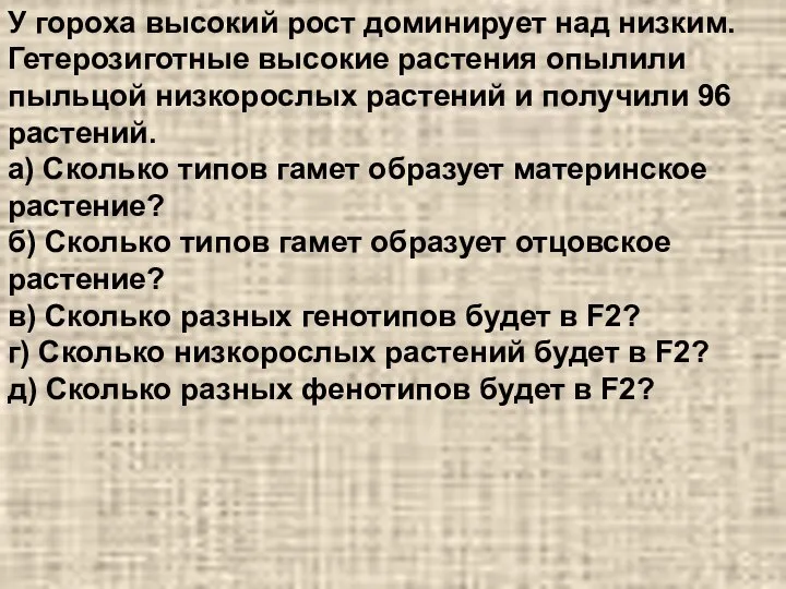 У гороха высокий рост доминирует над низким. Гетерозиготные высокие растения опылили