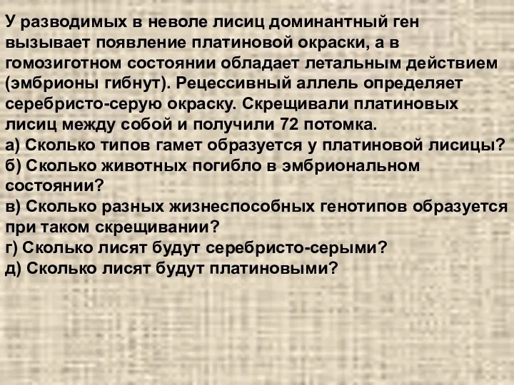 У разводимых в неволе лисиц доминантный ген вызывает появление платиновой окраски,