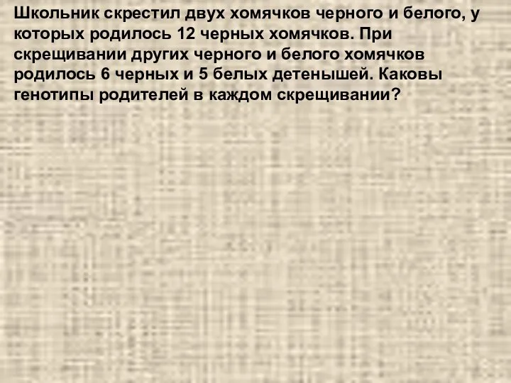 Школьник скрестил двух хомячков черного и белого, у которых родилось 12