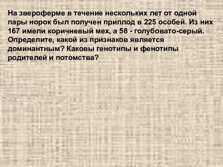 На звероферме в течение нескольких лет от одной пары норок был