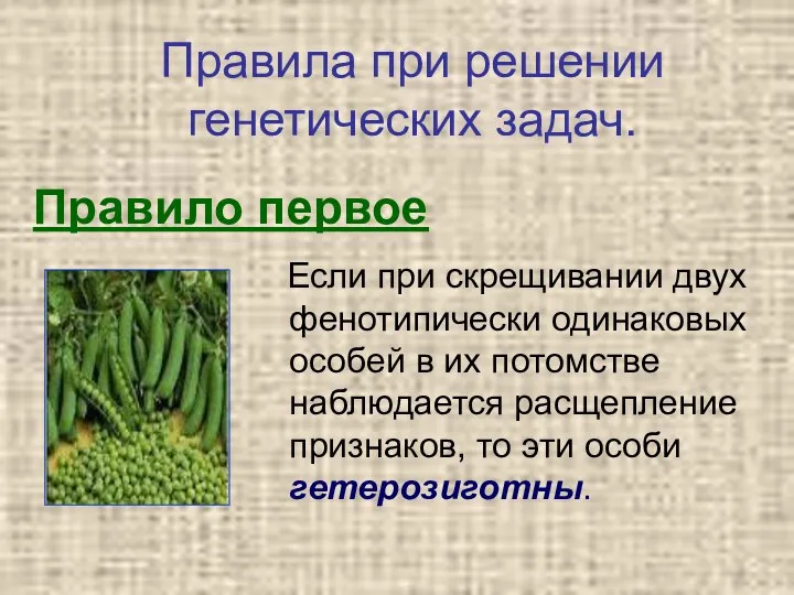 Правило первое Если при скрещивании двух фенотипически одинаковых особей в их