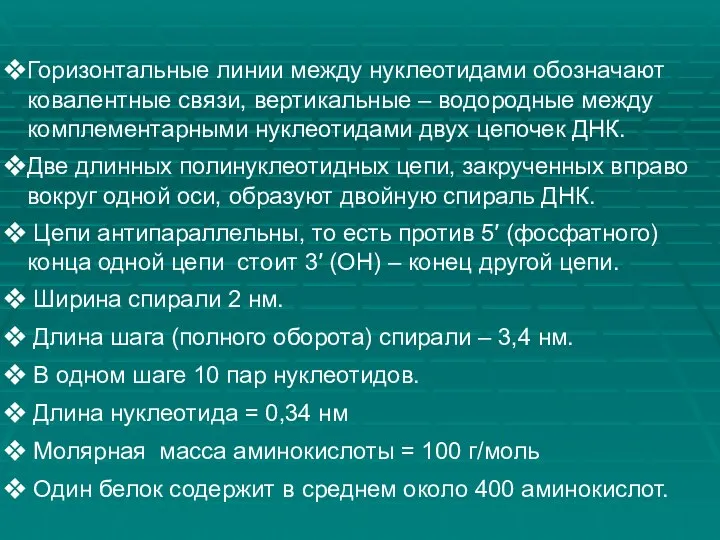 Горизонтальные линии между нуклеотидами обозначают ковалентные связи, вертикальные – водородные между