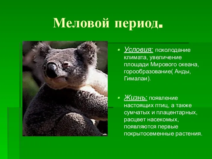 Меловой период. Условия: похолодание климата, увеличение площади Мирового океана, горообразование( Анды,