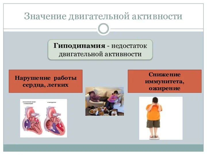 Значение двигательной активности Гиподинамия - недостаток двигательной активности Нарушение работы сердца, легких Снижение иммунитета, ожирение