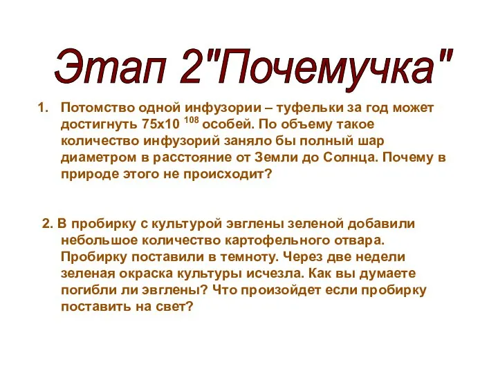 Этап 2"Почемучка" Потомство одной инфузории – туфельки за год может достигнуть