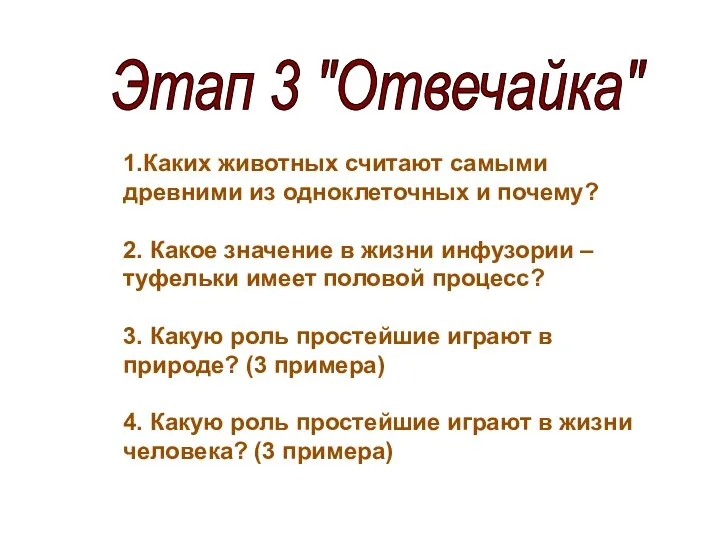 Этап 3 "Отвечайка" 1.Каких животных считают самыми древними из одноклеточных и