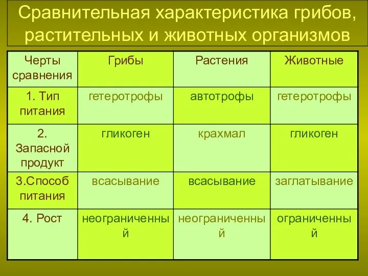 Сравнительная характеристика грибов, растительных и животных организмов