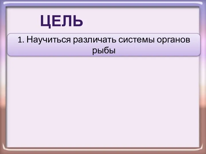 ЦЕЛЬ УРОКА: 1. Научиться различать системы органов рыбы