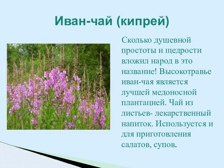 Сколько душевной простоты и щедрости вложил народ в это название! Высокотравье