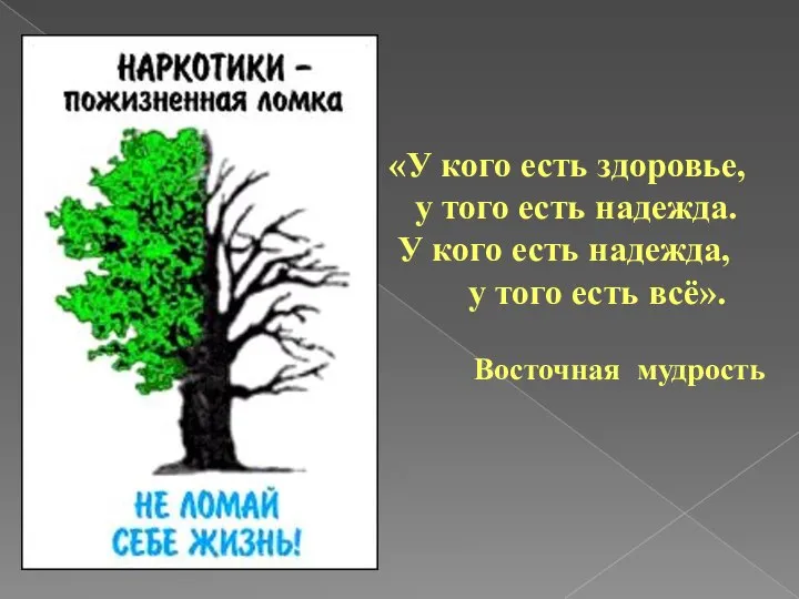 «У кого есть здоровье, у того есть надежда. У кого есть