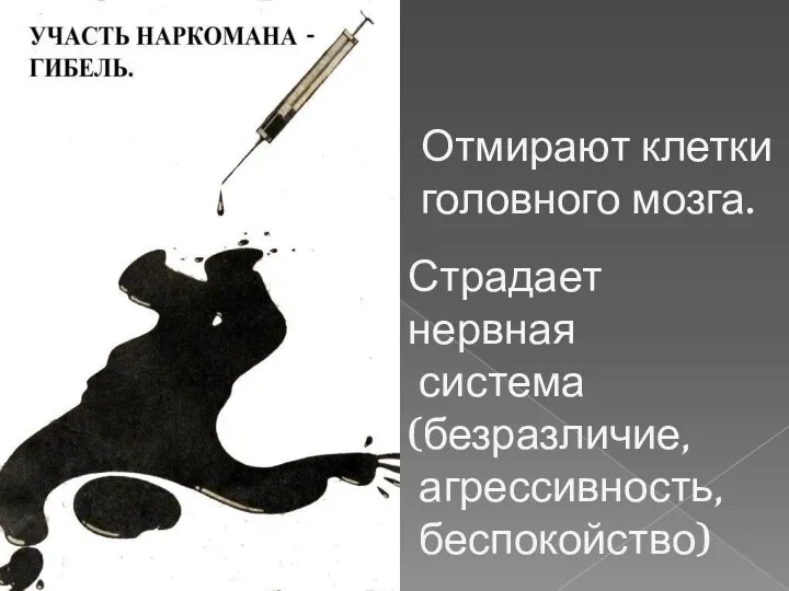 Отмирают клетки головного мозга. Страдает нервная система (безразличие, агрессивность, беспокойство)