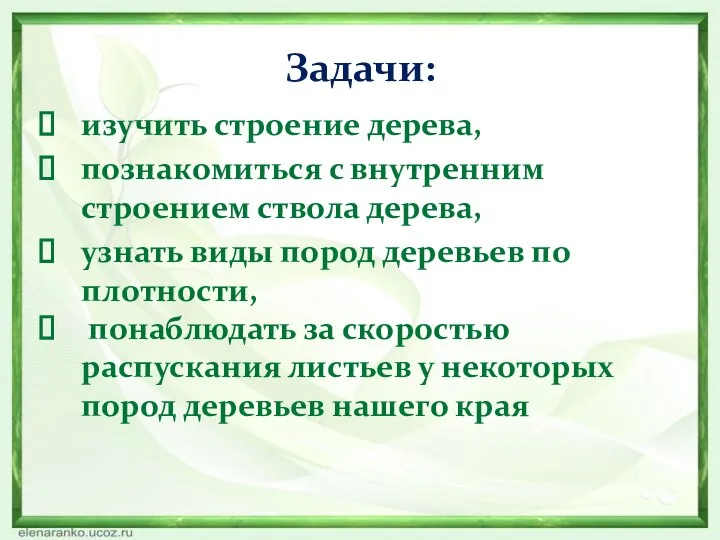 Задачи: изучить строение дерева, познакомиться с внутренним строением ствола дерева, узнать