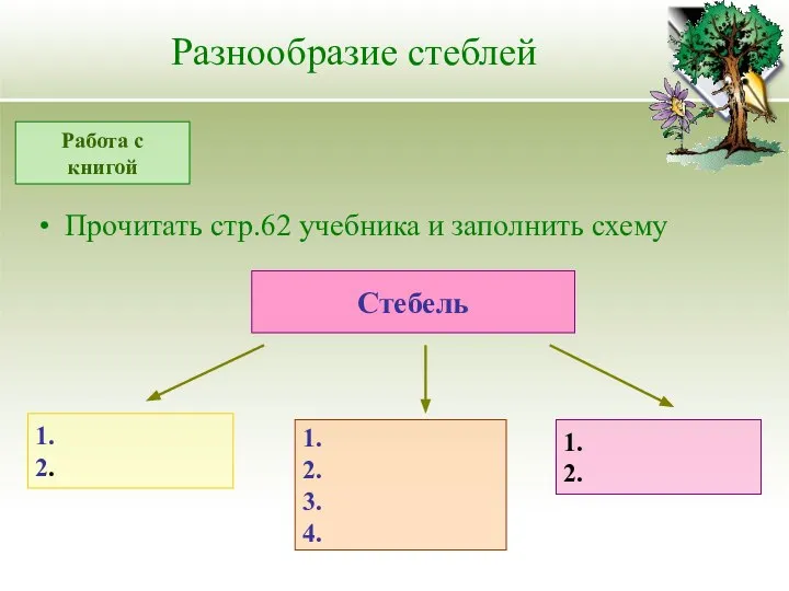 Разнообразие стеблей Прочитать стр.62 учебника и заполнить схему Работа с книгой