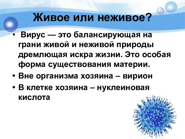 Живое или неживое? Вирус — это балансирующая на грани живой и