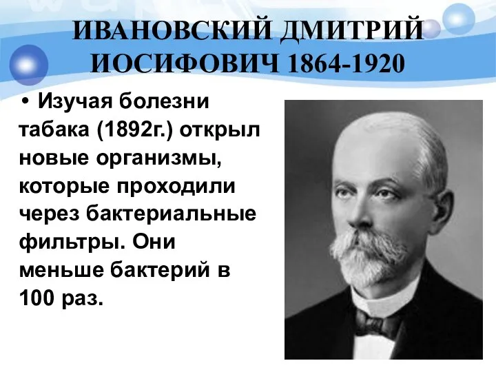 ИВАНОВСКИЙ ДМИТРИЙ ИОСИФОВИЧ 1864-1920 Изучая болезни табака (1892г.) открыл новые организмы,