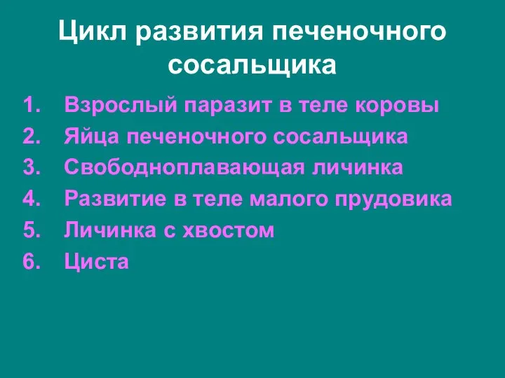 Цикл развития печеночного сосальщика Взрослый паразит в теле коровы Яйца печеночного