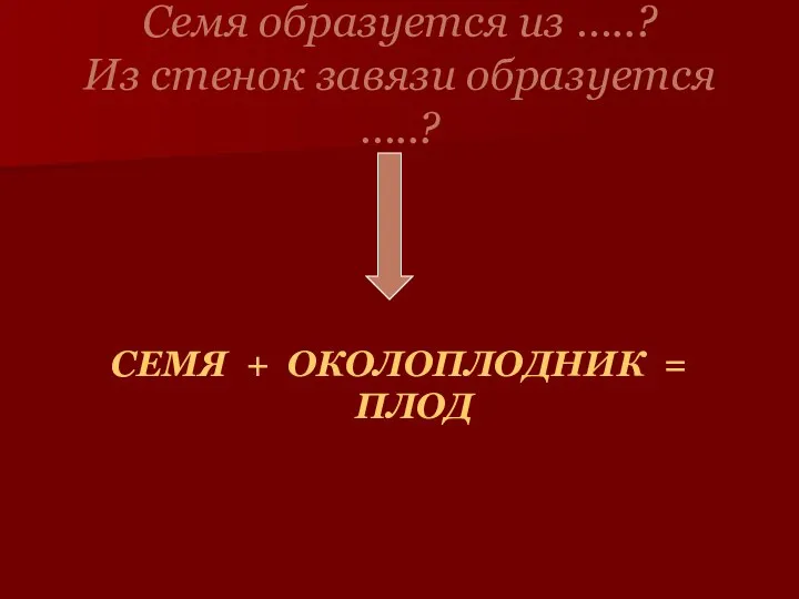 Семя образуется из …..? Из стенок завязи образуется …..? СЕМЯ + ОКОЛОПЛОДНИК = ПЛОД