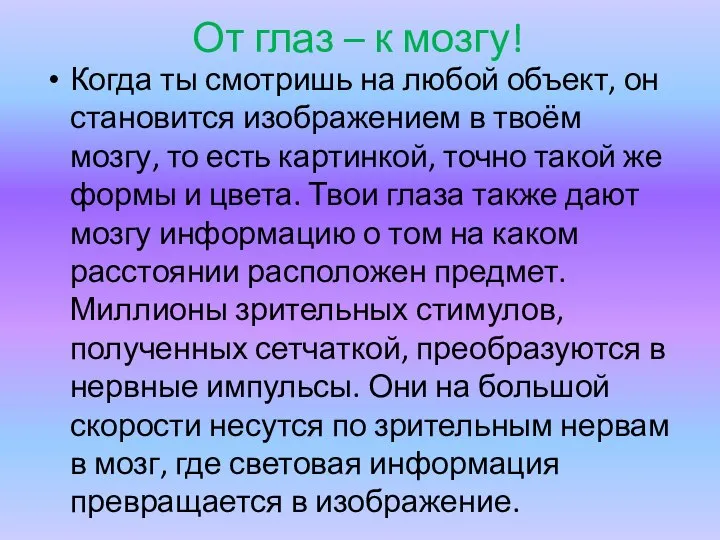 От глаз – к мозгу! Когда ты смотришь на любой объект,