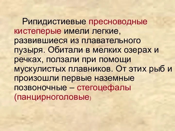 Рипидистиевые пресноводные кистеперые имели легкие, развившиеся из плавательного пузыря. Обитали в