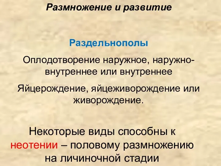 Размножение и развитие Раздельнополы Оплодотворение наружное, наружно-внутреннее или внутреннее Яйцерождение, яйцеживорождение