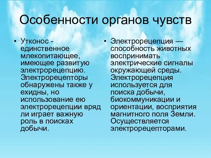 Особенности органов чувств Утконос - единственное млекопитающее, имеющее развитую электрорецепцию. Электрорецепторы