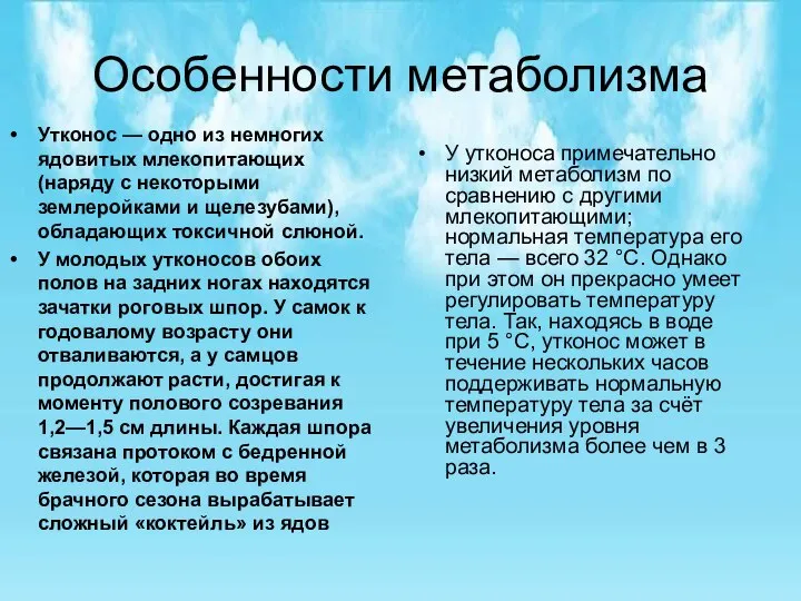 Особенности метаболизма У утконоса примечательно низкий метаболизм по сравнению с другими