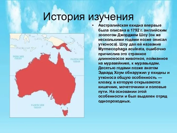 История изучения Австралийская ехидна впервые была описана в 1792 г. английским