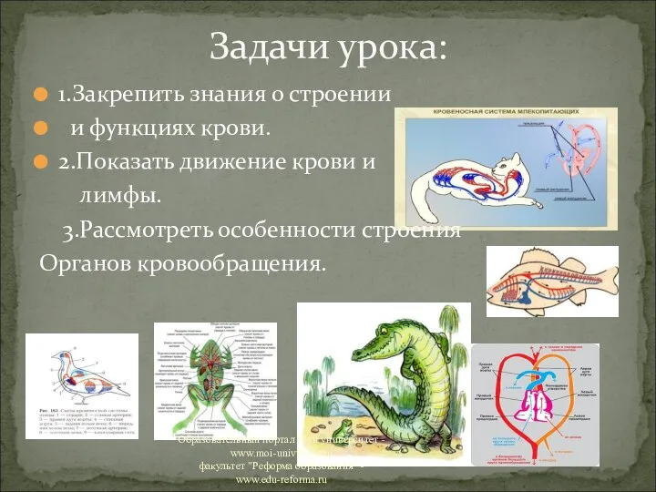 1.Закрепить знания о строении и функциях крови. 2.Показать движение крови и