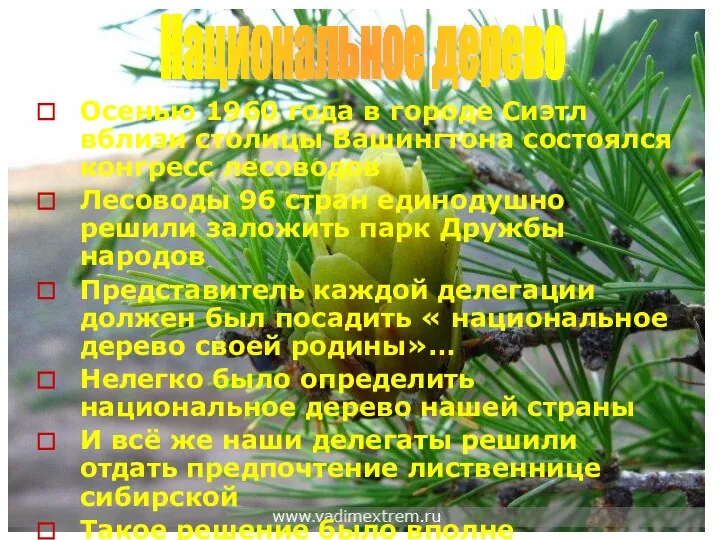 Осенью 1960 года в городе Сиэтл вблизи столицы Вашингтона состоялся конгресс