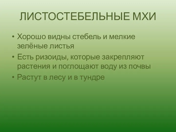 ЛИСТОСТЕБЕЛЬНЫЕ МХИ Хорошо видны стебель и мелкие зелёные листья Есть ризоиды,