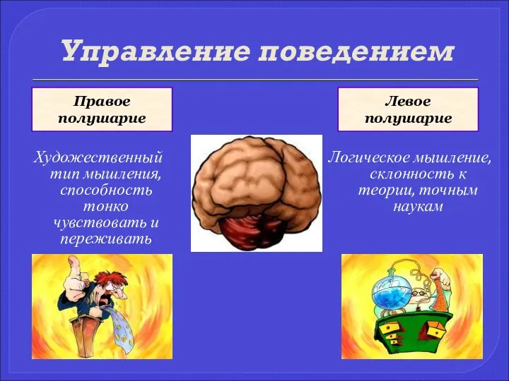 Управление поведением Художественный тип мышления, способность тонко чувствовать и переживать Логическое