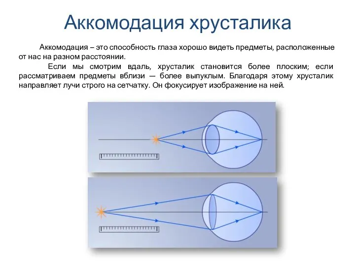 Аккомодация хрусталика Аккомодация – это способность глаза хорошо видеть предметы, расположенные