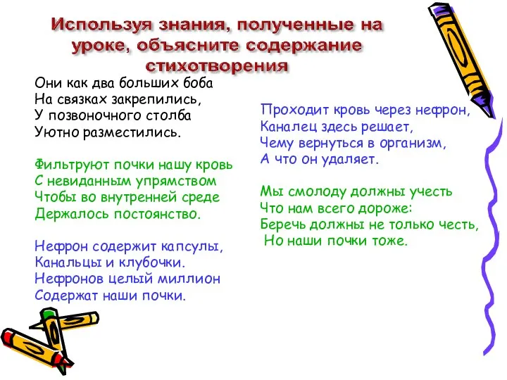 Проходит кровь через нефрон, Каналец здесь решает, Чему вернуться в организм,