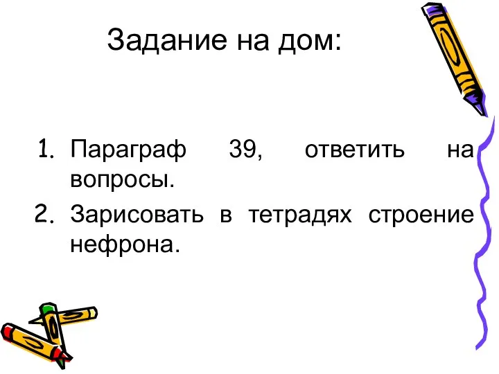 Задание на дом: Параграф 39, ответить на вопросы. Зарисовать в тетрадях строение нефрона.