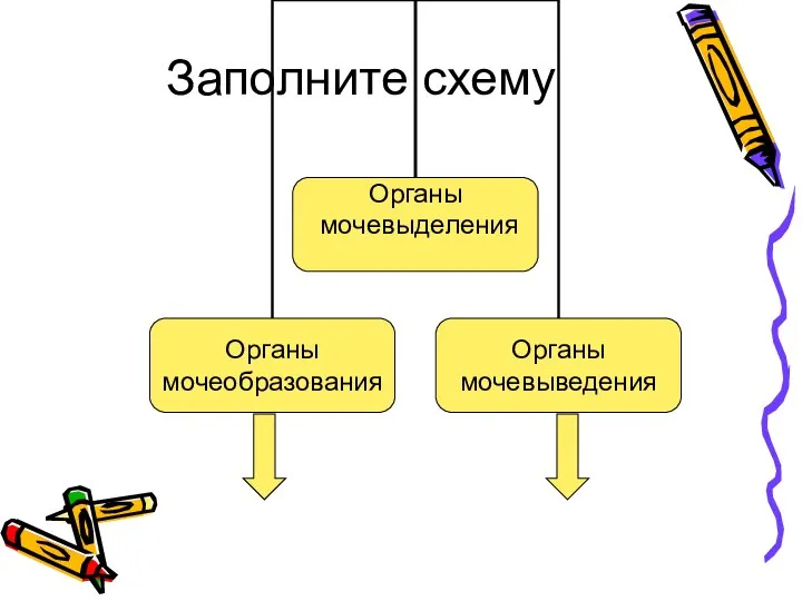 Заполните схему