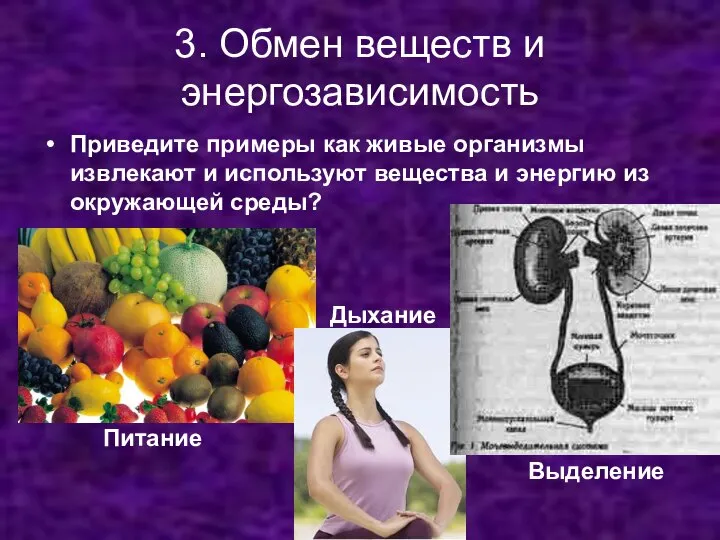 3. Обмен веществ и энергозависимость Приведите примеры как живые организмы извлекают