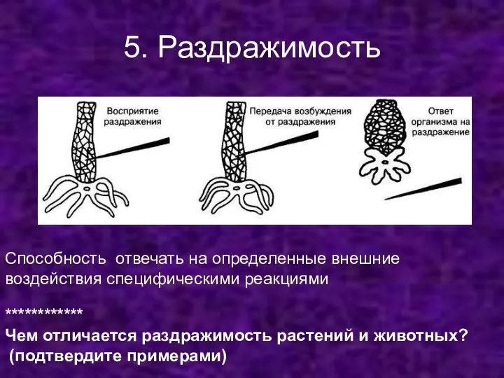 5. Раздражимость Способность отвечать на определенные внешние воздействия специфическими реакциями ************