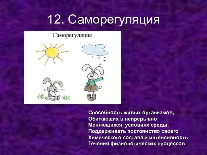 12. Саморегуляция Способность живых организмов, Обитающих в непрерывно Меняющихся условиях среды,