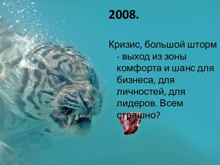 2008. Кризис, большой шторм - выход из зоны комфорта и шанс