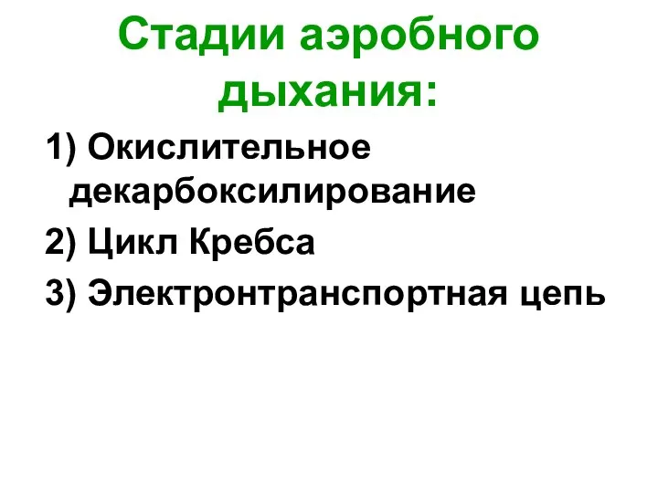 Стадии аэробного дыхания: 1) Окислительное декарбоксилирование 2) Цикл Кребса 3) Электронтранспортная цепь