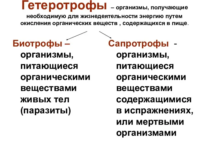 Гетеротрофы – организмы, получающие необходимую для жизнедеятельности энергию путем окисления органических